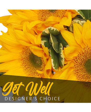 Get Well Bouquet Designer's Choice in Santa Clarita, CA | Rainbow Garden And Gifts