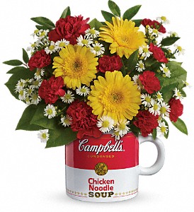 Get Well* Campbell's Healthy Wishes TEV51-1A