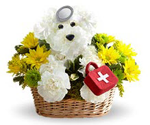 Doggie Doctor Get Well Delivery