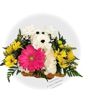 Get Well Pup A Ruth Original