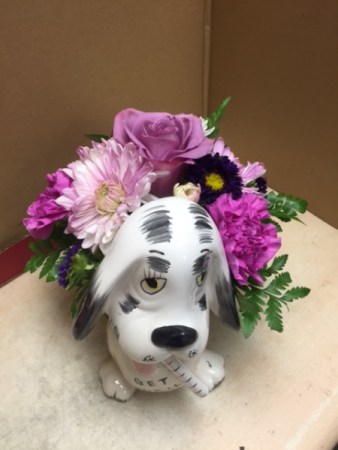 get well soon dog container seasonal flowers