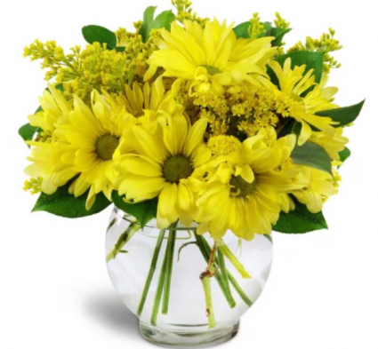 Yellow daisy vase Vase