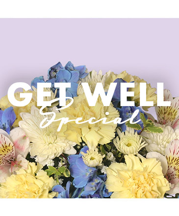 Get Well Special Designer's Choice in Battle Lake, MN | PETALS & POSIES