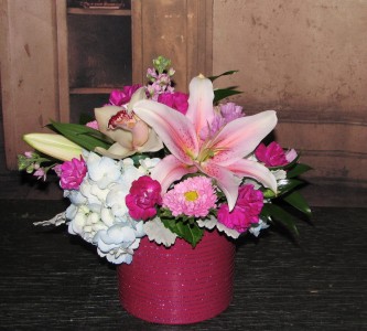 Dazzing in Pink