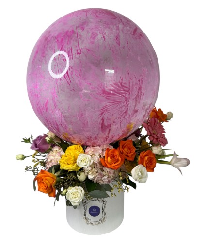 Giant Balloon Box  Birthday and Party