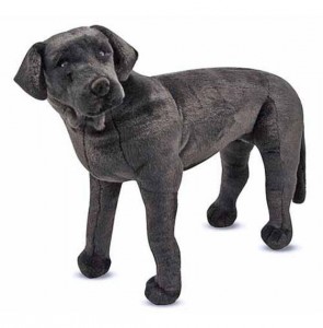 GIANT LAB PUPPY in Fort Lauderdale, FL | ENCHANTMENT FLORIST GIANT LAB PUPPY in Fort Lauderdale, FL | ENCHANTMENT FLORIST