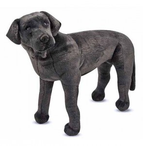 GIANT LAB PUPPY  in Fort Lauderdale, FL | ENCHANTMENT FLORIST