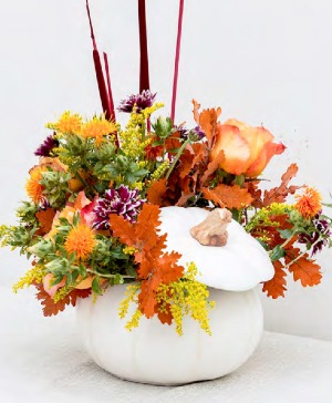 Gia's Pumpkin Spice Latte  Designers Choice Arrangement in a White elegant Pumpkin 