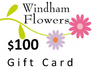 Gift Card $100 Virtual Gift Certificate