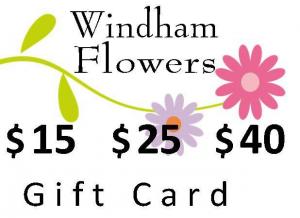 Gift Card $15, $25 or $40 Virtual Gift Certificate