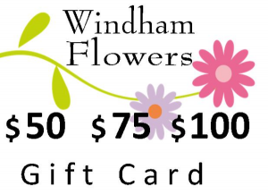Gift Card $50 $75 or $100 Gift Certificate