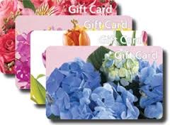Gift Card gift in Davis, CA | STRELITZIA FLOWER CO. Gift Card gift in Davis, CA | STRELITZIA FLOWER CO.