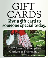 GIFT CARDS 