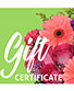 Send A Gift Certificate Redeemable Anytime