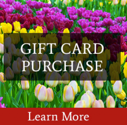 Gift Certificate  Your garden store and so much more!