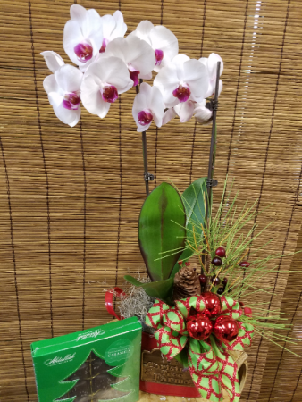 Gift of an Orchid includes box of Candy
