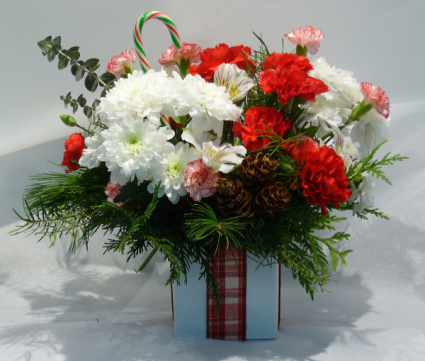 GIFT WRAPPED Christmas Arrangement