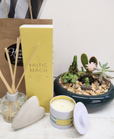 Gifts for Mom- Illume Baltic Beach & Succulent GRD