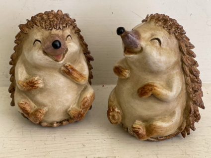 Giggling Hedgehogs