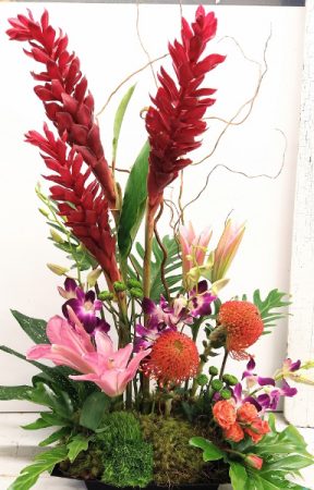 Ginger and Orchid Explosion Arrangement 