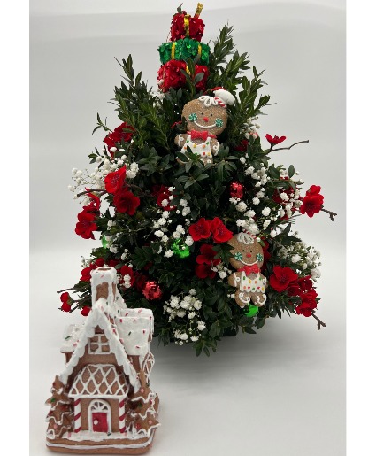 Gingerbread Boxwood Tree  Boxwood 