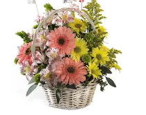 Girls Are Great D5-4043 Arrangement