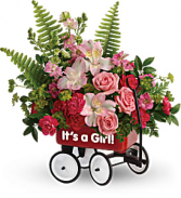 Girl's Red Wagon 