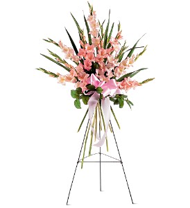 GLADIOLI SPRAY