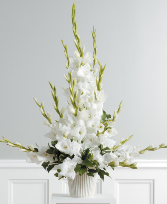 Gladiolus Essence Funeral
