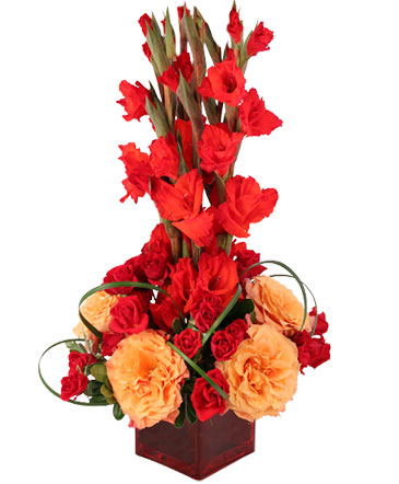 Gladiolus Flame Flower Arrangement In Clayton Nj Upscale Flowers By Thomas