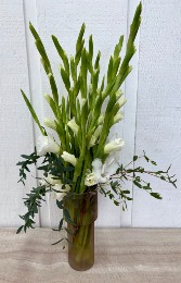 Gladiolus Goodbye 