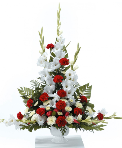 Gladiolus Grandeur Funeral