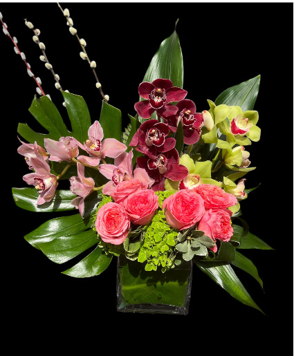 Glamorous cymbidium 