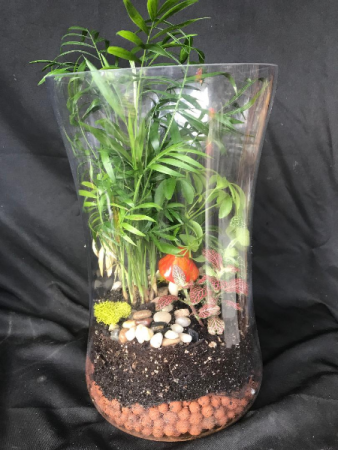 Glass Garden Terrarium Planter