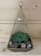 Glass Pyramid Succulent 