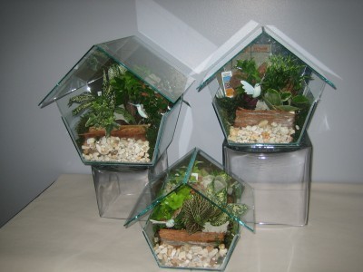 Glass Terrarium Birdhouse 