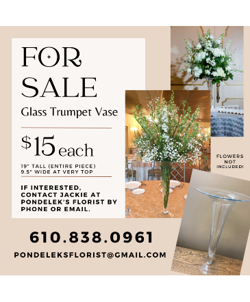 Glass Trumpet Container   in Hellertown, PA | PONDELEK'S FLORIST