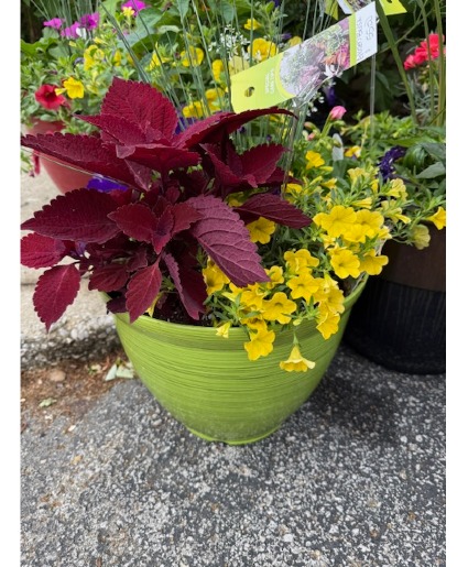 Glazed brush mixed pot patio pot