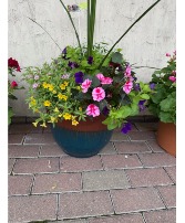 Glazed Drip Patio pot  blooming -outdoor 