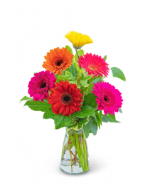 Gleeful Gerbera Flower Arrangement