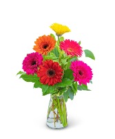 Gleeful Gerbera Flower Arrangement