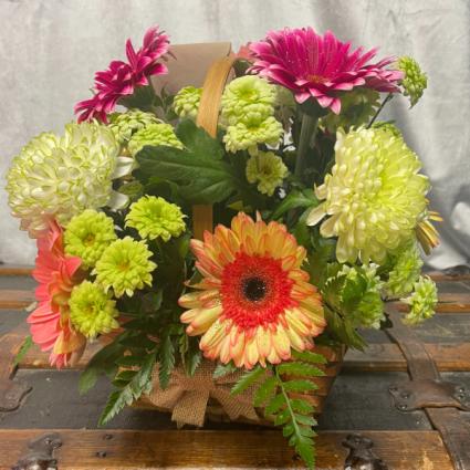Glittering Gerbera's Flower Basket