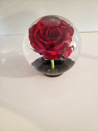 Global Rose