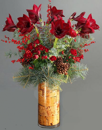 Fresh Cut Paper Red Amaryllis - THE BEACH PLUM COMPANY