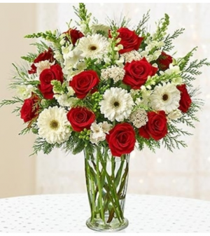 Glorious Christmas™ '18 Arrangement in Croton On Hudson, NY | Cooke's Little Shoppe Of Flowers Glorious Christmas™ '18 Arrangement in Croton On Hudson, NY | Cooke's Little Shoppe Of Flowers