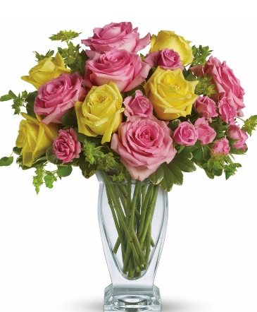  Glorious Day  in Arlington, TX | Wilsons In Bloom Florist