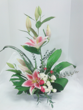 Glorious Pink Lily's