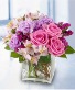 Glory Blooms spring