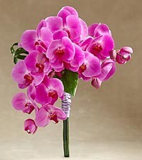 GLORY BOUQUET WEDDING