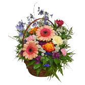 Gloryland Flower Basket Flowers